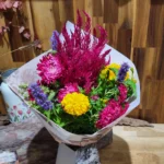 bqt-celosie-tagete-agastache-locales